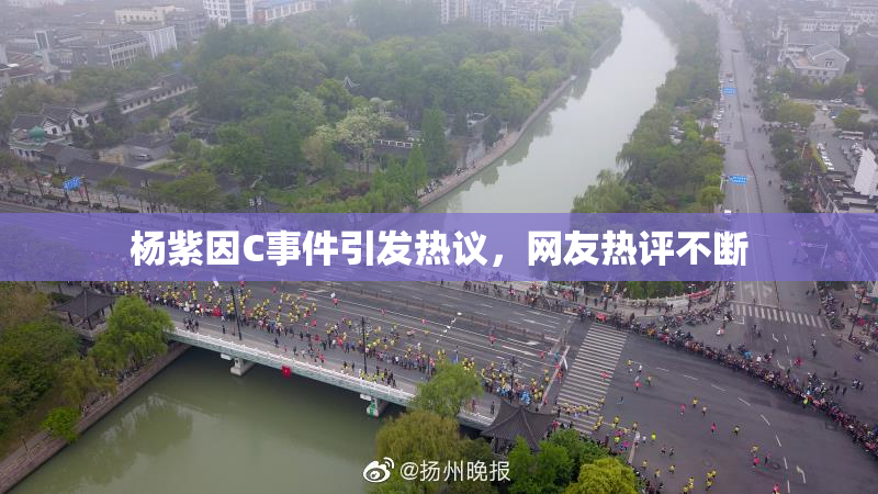 杨紫因C事件引发热议，网友热评不断