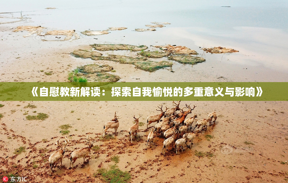 《自慰教新解读：探索自我愉悦的多重意义与影响》