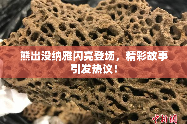 熊出没纳雅闪亮登场，精彩故事引发热议！