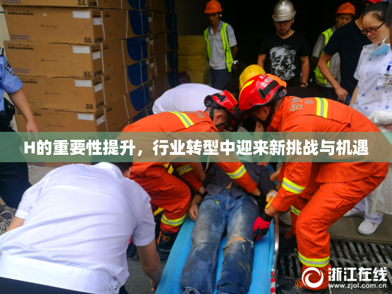 H的重要性提升，行业转型中迎来新挑战与机遇