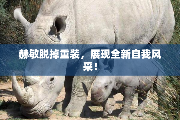 赫敏脱掉重装，展现全新自我风采！