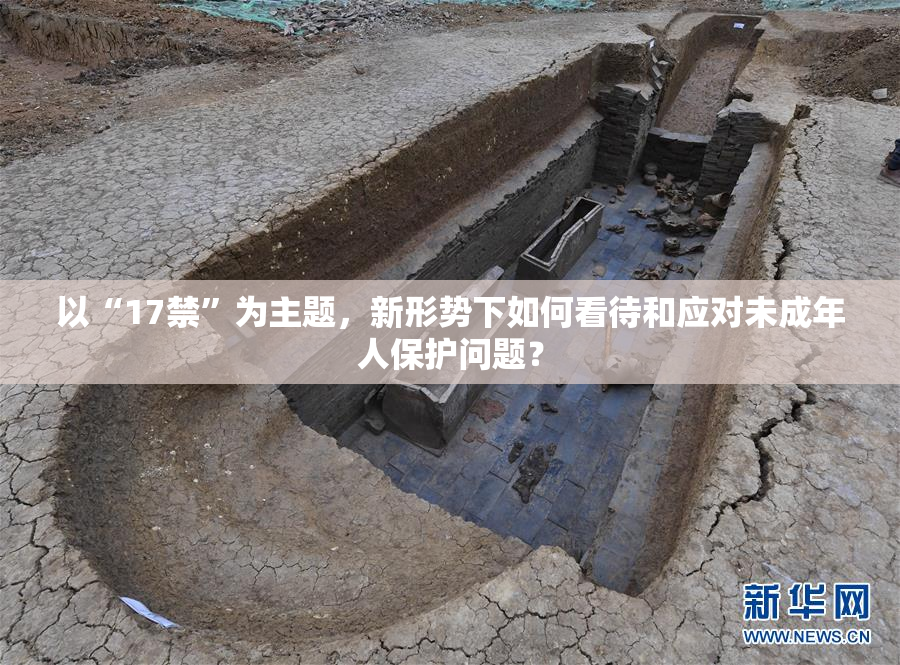 以“17禁”为主题，新形势下如何看待和应对未成年人保护问题？
