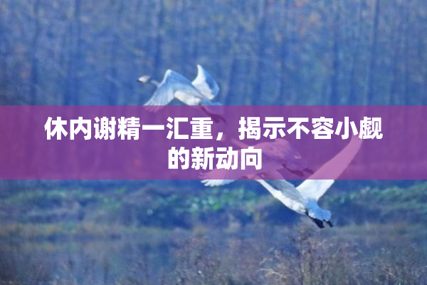 休内谢精一汇重，揭示不容小觑的新动向