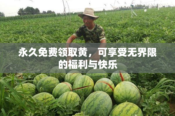 永久免费领取黄，可享受无界限的福利与快乐