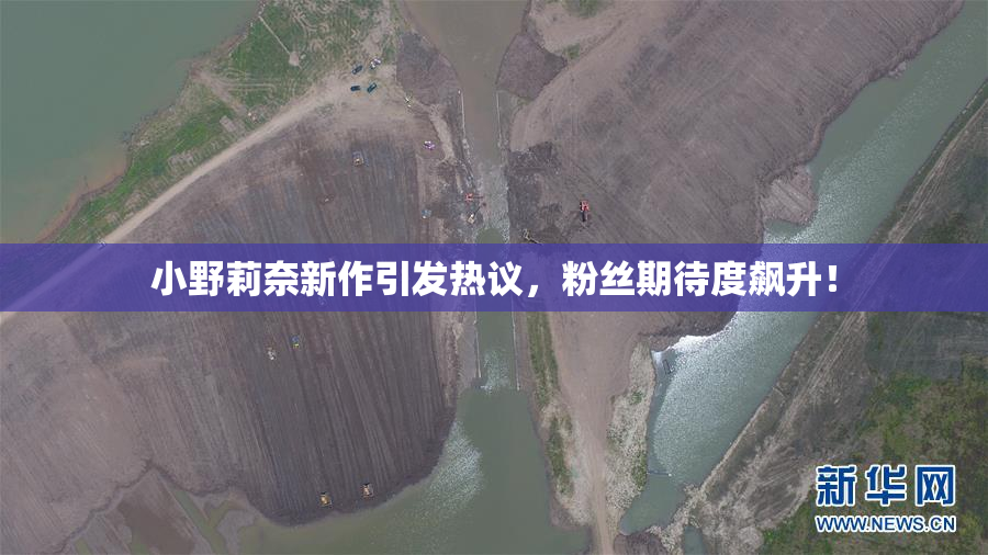 小野莉奈新作引发热议，粉丝期待度飙升！