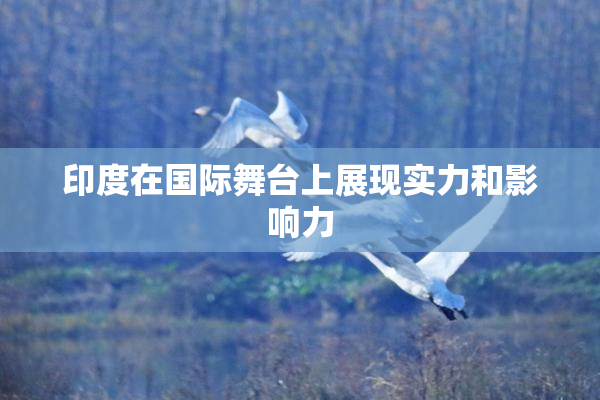 印度在国际舞台上展现实力和影响力