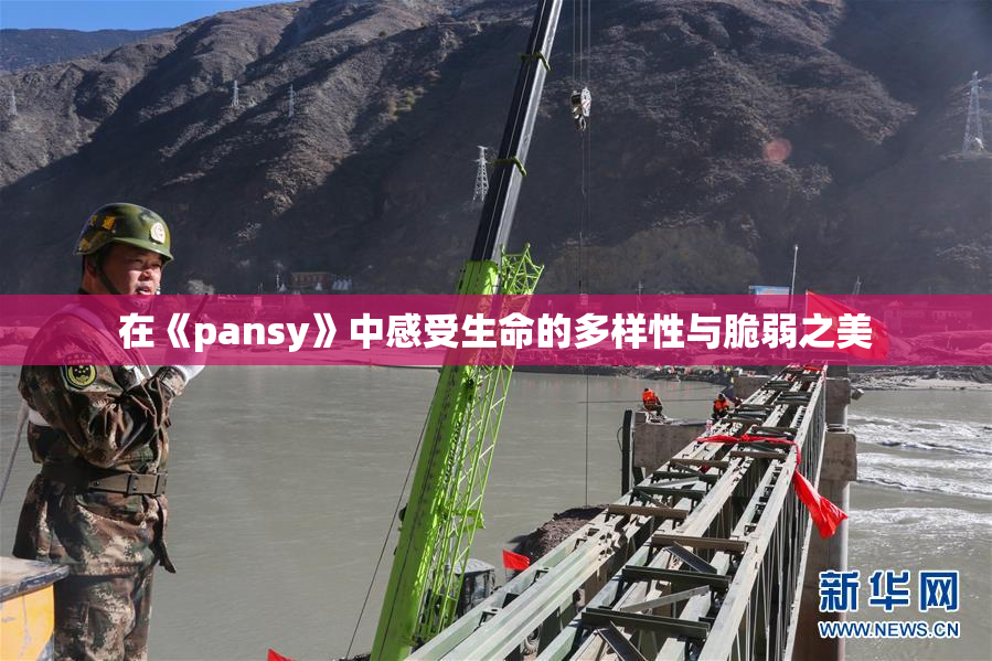 在《pansy》中感受生命的多样性与脆弱之美