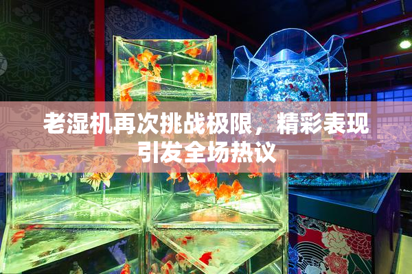 老湿机再次挑战极限，精彩表现引发全场热议