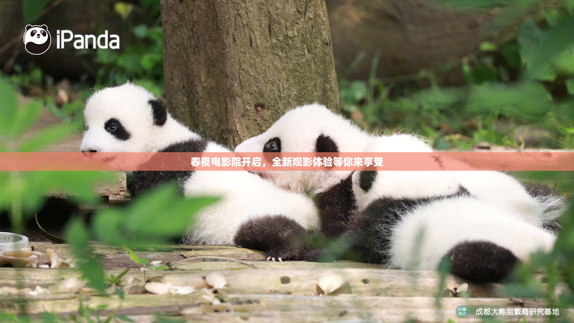 春夜电影院开启，全新观影体验等你来享受