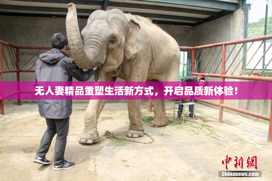 无人妻精品重塑生活新方式，开启品质新体验！