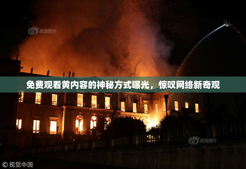 免费观看黄内容的神秘方式曝光，惊叹网络新奇观