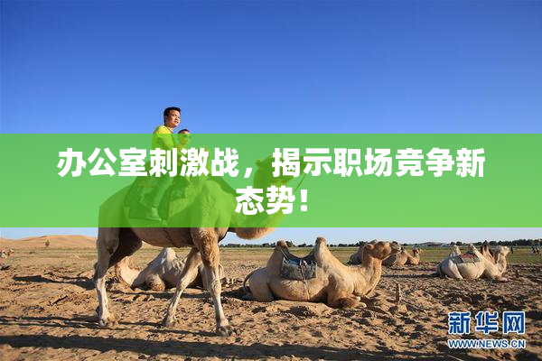 办公室刺激战，揭示职场竞争新态势！