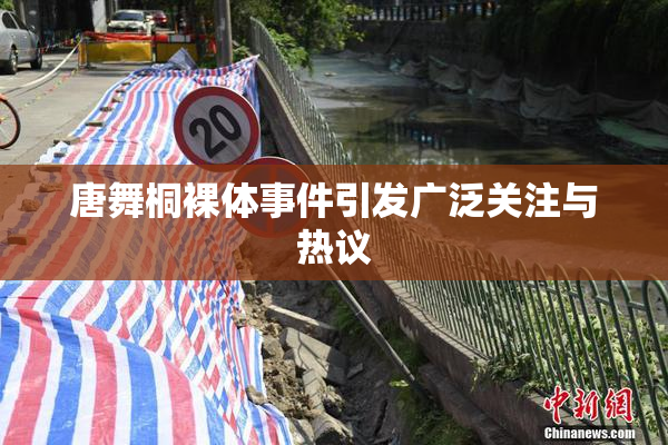 唐舞桐裸体事件引发广泛关注与热议
