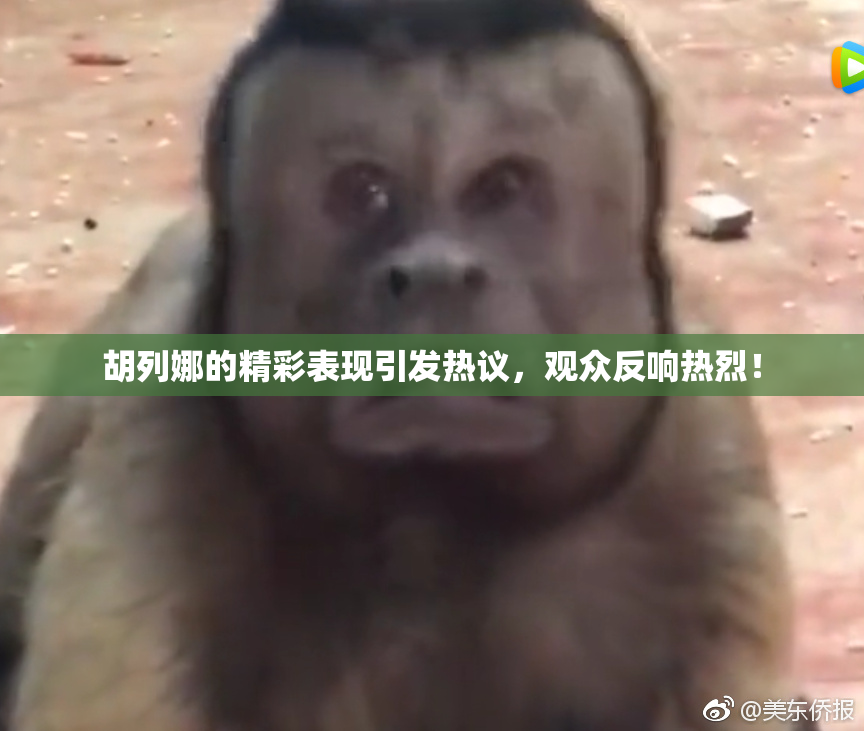 胡列娜的精彩表现引发热议，观众反响热烈！