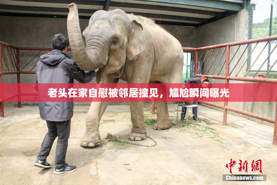 老头在家自慰被邻居撞见，尴尬瞬间曝光