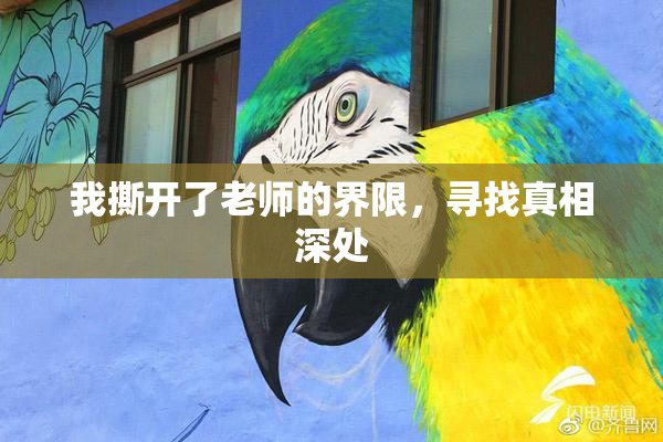 我撕开了老师的界限，寻找真相深处