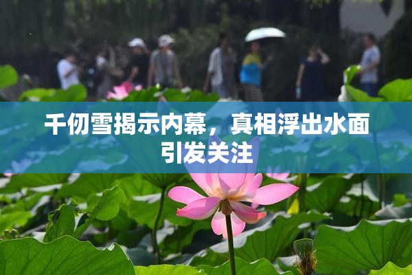 千仞雪揭示内幕，真相浮出水面引发关注