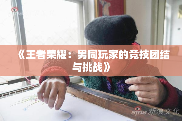 《王者荣耀：男同玩家的竞技团结与挑战》