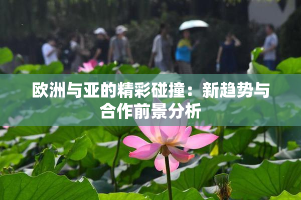 欧洲与亚的精彩碰撞：新趋势与合作前景分析