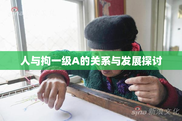 人与拘一级A的关系与发展探讨