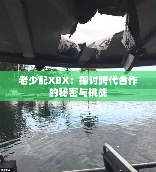 老少配XBX：探讨跨代合作的秘密与挑战