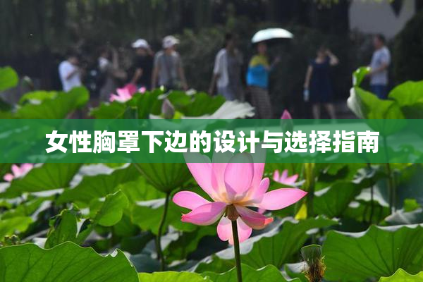 女性胸罩下边的设计与选择指南