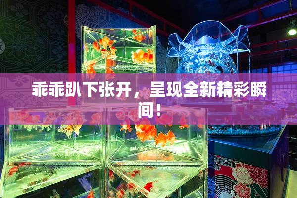 乖乖趴下张开，呈现全新精彩瞬间！