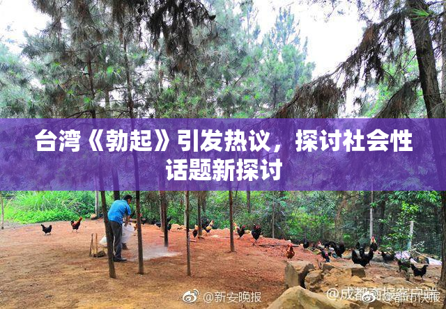 台湾《勃起》引发热议，探讨社会性话题新探讨