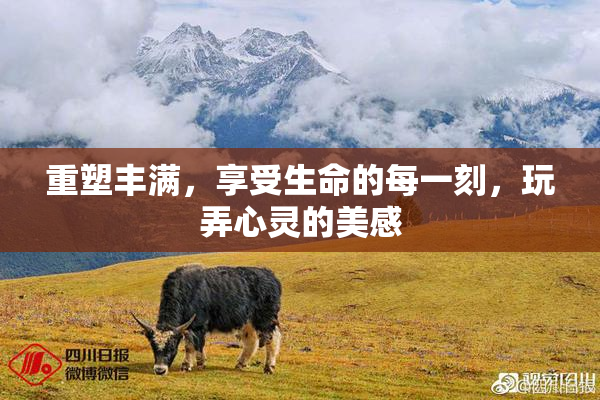 重塑丰满，享受生命的每一刻，玩弄心灵的美感