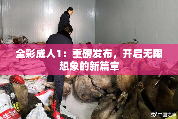 全彩成人1：重磅发布，开启无限想象的新篇章