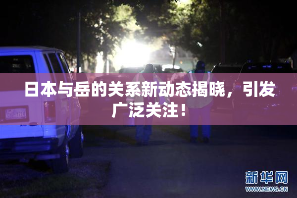 日本与岳的关系新动态揭晓，引发广泛关注！