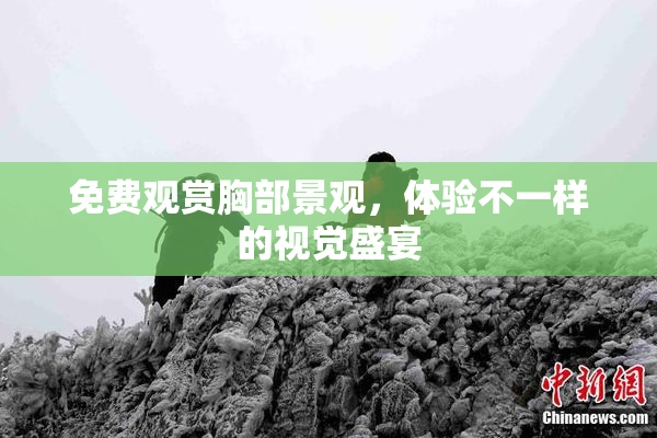 免费观赏胸部景观，体验不一样的视觉盛宴