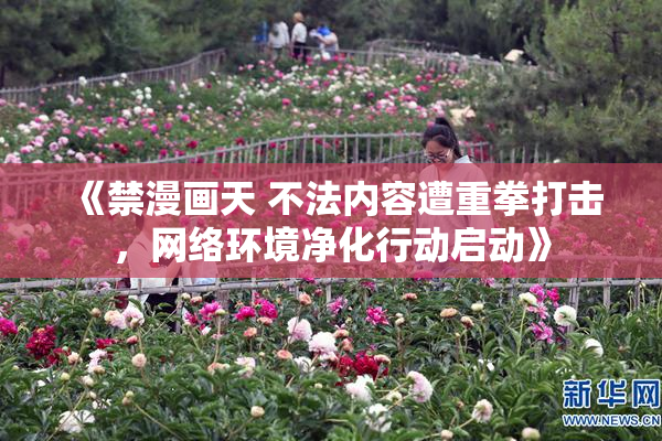 《禁漫画天 不法内容遭重拳打击，网络环境净化行动启动》