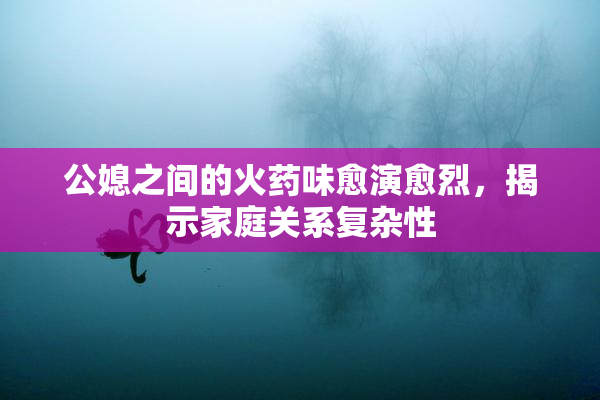 公媳之间的火药味愈演愈烈，揭示家庭关系复杂性