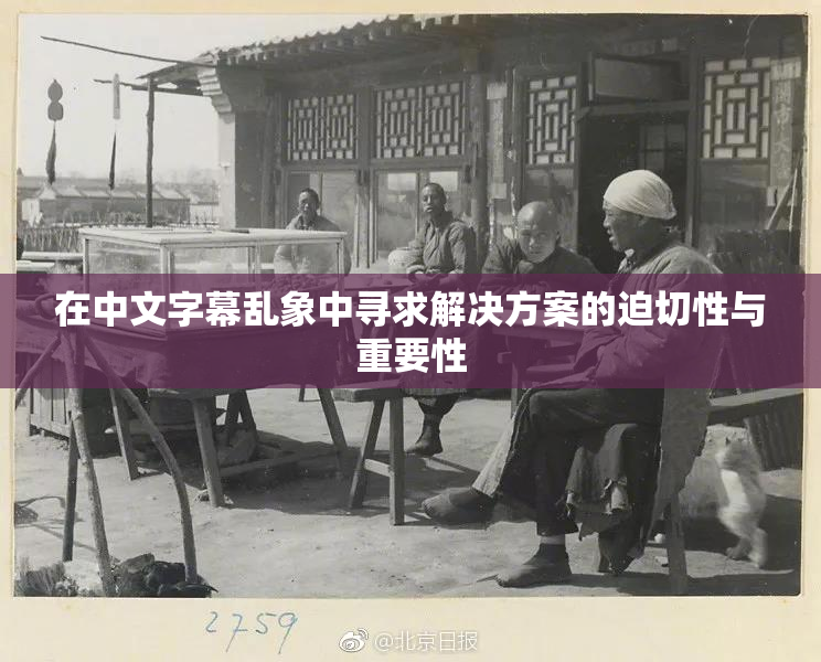 在中文字幕乱象中寻求解决方案的迫切性与重要性