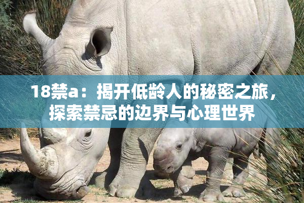 18禁a：揭开低龄人的秘密之旅，探索禁忌的边界与心理世界