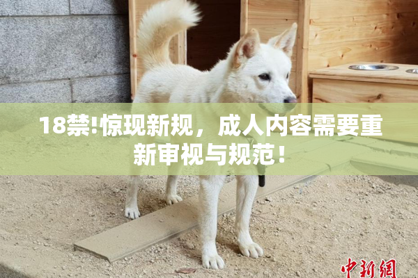 18禁!惊现新规，成人内容需要重新审视与规范！
