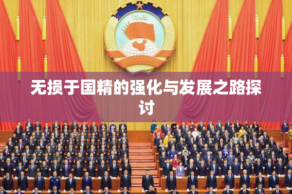 无损于国精的强化与发展之路探讨