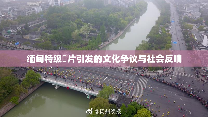 缅甸特级婬片引发的文化争议与社会反响