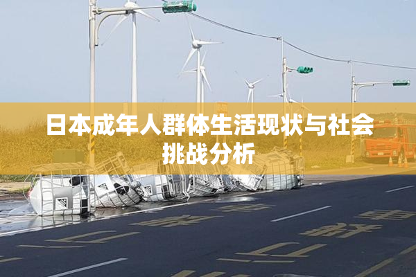 日本成年人群体生活现状与社会挑战分析