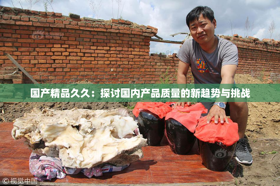 国产精品久久：探讨国内产品质量的新趋势与挑战