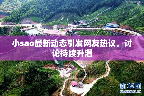 小sao最新动态引发网友热议，讨论持续升温
