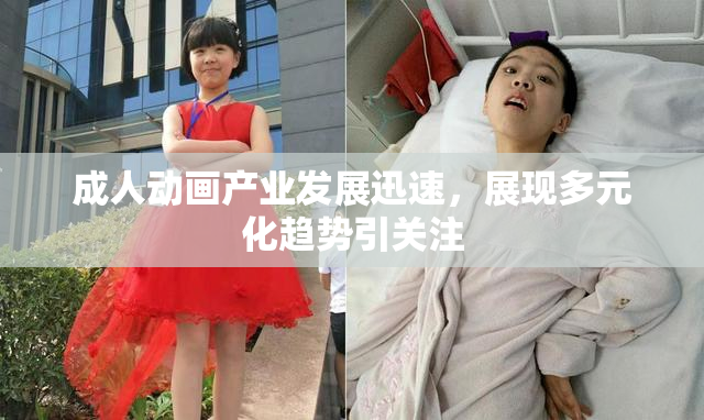 成人动画产业发展迅速，展现多元化趋势引关注