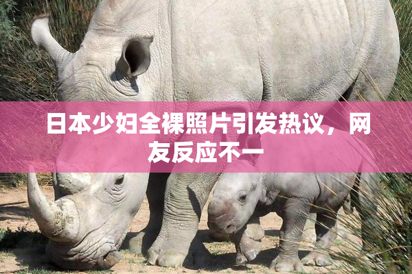 日本少妇全裸照片引发热议，网友反应不一