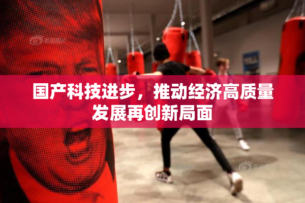 国产科技进步，推动经济高质量发展再创新局面