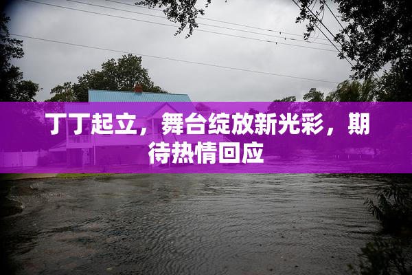 丁丁起立，舞台绽放新光彩，期待热情回应