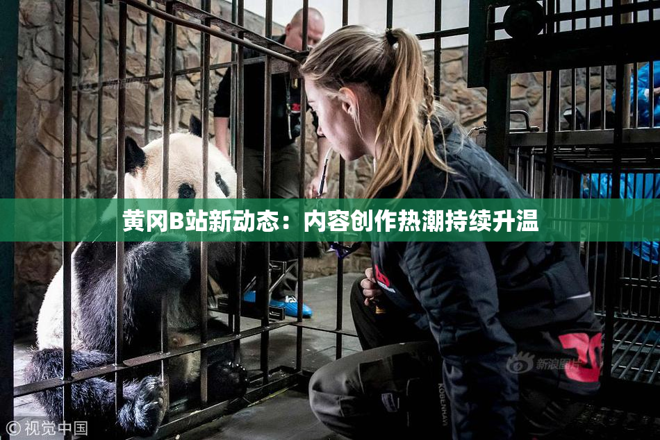 黄冈B站新动态：内容创作热潮持续升温