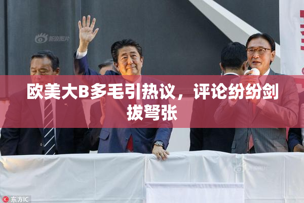 欧美大B多毛引热议，评论纷纷剑拔弩张