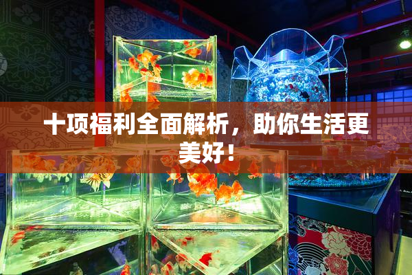 十项福利全面解析，助你生活更美好！