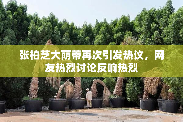 张柏芝大荫蒂再次引发热议，网友热烈讨论反响热烈